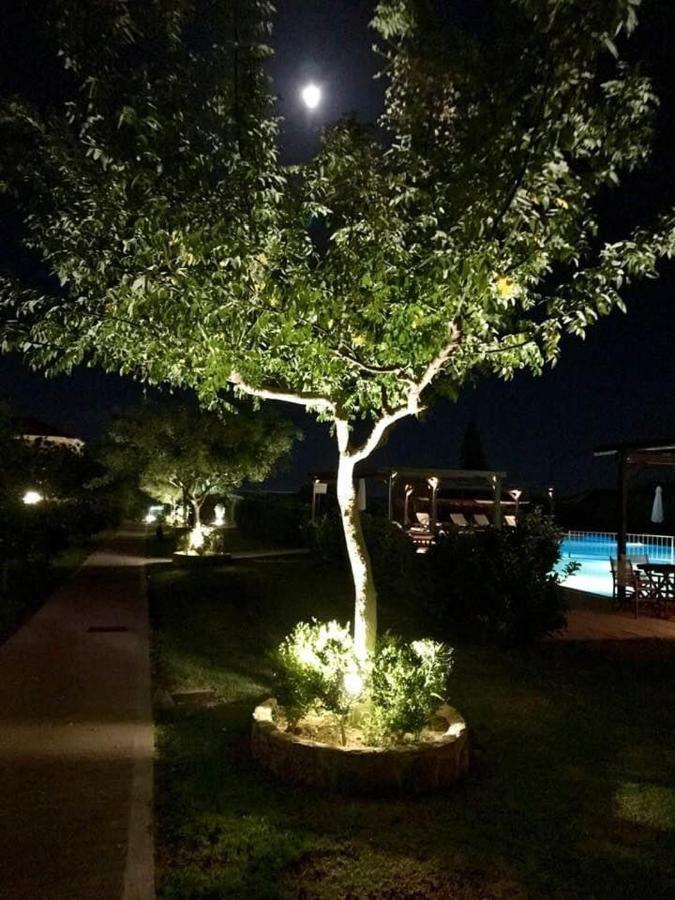 Boutique Hotel Ileas Village Arkoudi Eksteriør billede
