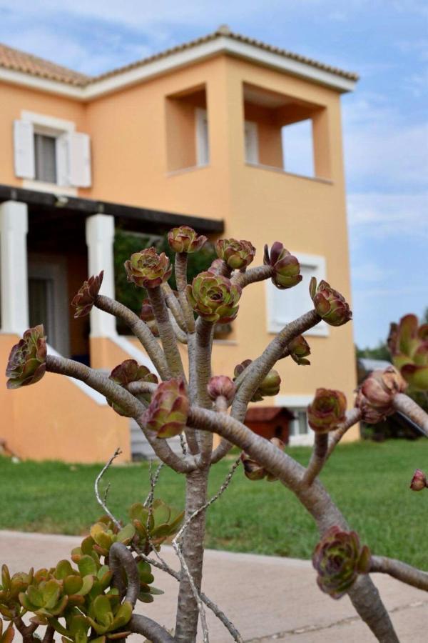 Boutique Hotel Ileas Village Arkoudi Eksteriør billede