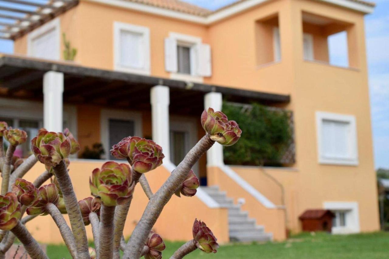 Boutique Hotel Ileas Village Arkoudi Eksteriør billede
